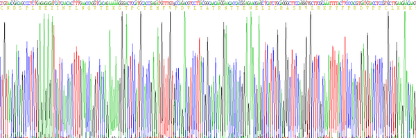 Eukaryotic Interleukin 4 (IL4), RPU54799