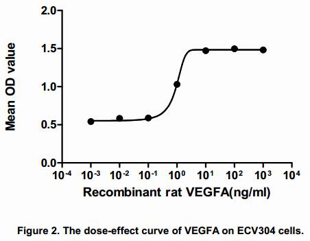 The dose-effect curve of VEGFA was shown in Figure 2. It was obvious that VEGFA significantly promoted cell proliferation of ECV304 cells. The ED50 for this effect is typically 5.58 to 9.98 ng/mL.