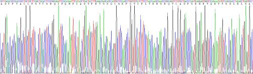Human Macrophage Inflammatory Protein 1 Alpha (MIP1a), Active Protein