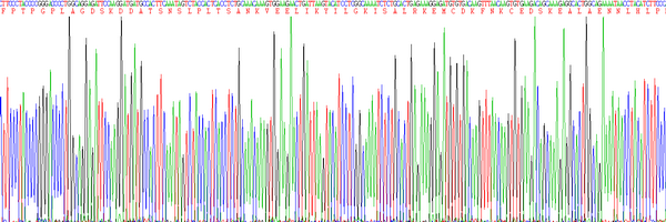 Eukaryotic Interleukin 6 (IL6), RPU54804
