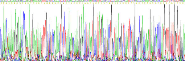 Eukaryotic FK506 Binding Protein 7 (FKBP7), RPU54805