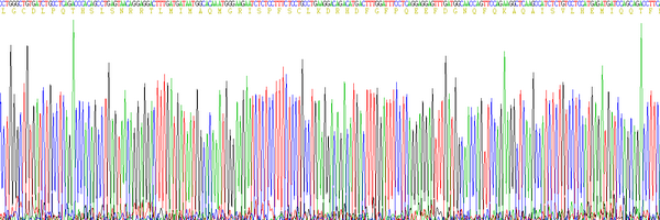 Eukaryotic Interferon Alpha 5 (IFNa5), RPU54806