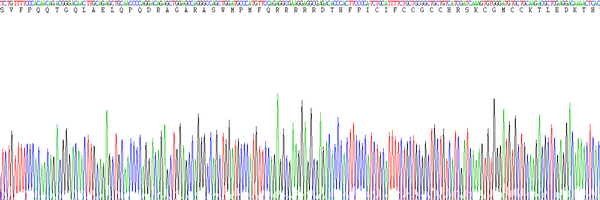 Eukaryotic Hepcidin (Hepc), RPU54807