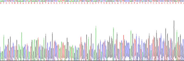 Eukaryotic Resistin (RETN), RPU54808