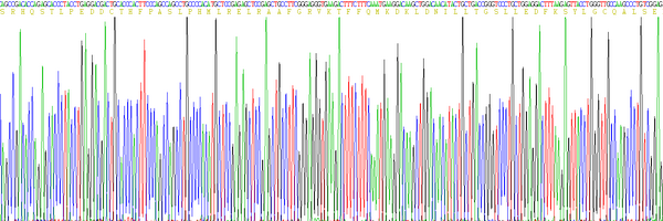 Eukaryotic Interleukin 10 (IL10), RPU54809
