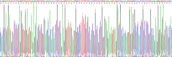 Eukaryotic Factor Related Apoptosis (FAS), RPU54812