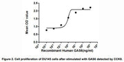 The dose-effect curve of GAS6 was shown in Figure 2. It was obvious that GAS6 significantly promoted cell proliferation of DU145 cells. The ED50 for this effect is typically 0.77~38.08ng/mL.