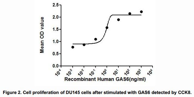The dose-effect curve of GAS6 was shown in Figure 2. It was obvious that GAS6 significantly promoted cell proliferation of DU145 cells. The ED50 for this effect is typically 0.77~38.08ng/mL.