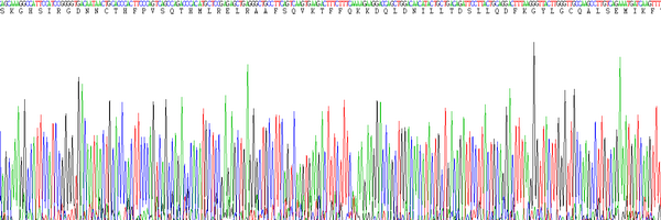 Eukaryotic Interleukin 10 (IL10), RPU54814