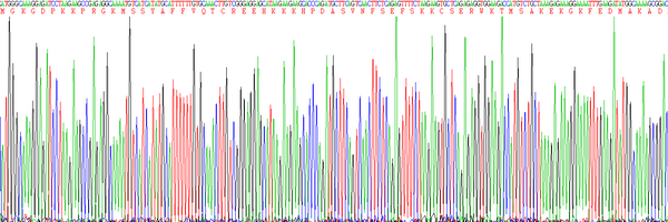 Eukaryotic High Mobility Group Protein 1 (HMGB1), RPU54815