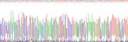 Eukaryotic B-Cell Activating Factor (BAFF), RPU54817