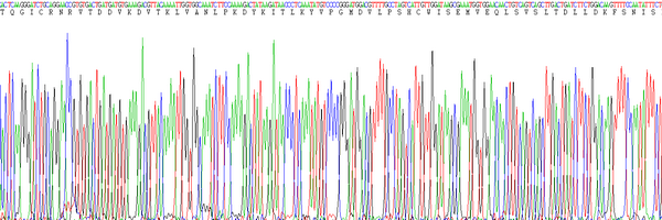 Eukaryotic Stem Cell Factor (SCF), RPU54818
