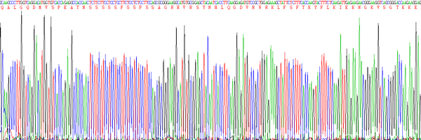 Eukaryotic Fibroblast Growth Factor 10 (FGF10), RPU54819