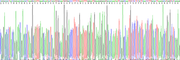 Eukaryotic Interferon Gamma (IFNg), RPU54821
