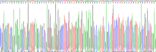 Eukaryotic Interferon Gamma (IFNg), RPU54821