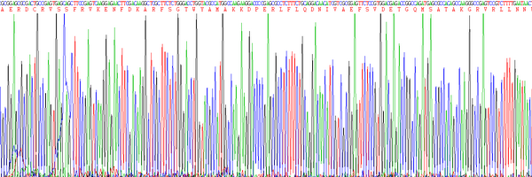 Eukaryotic Retinol Binding Protein 4 (RBP4), RPU54824