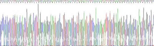 Eukaryotic Erythropoietin (EPO), RPU54825