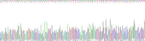 Human Interleukin 4 (IL4), Active Protein