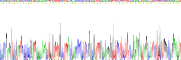 Eukaryotic Interleukin 1 Beta (IL1b), RPU54831