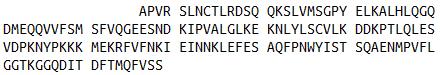 Eukaryotic Human Interleukin 1 Beta (IL1b)