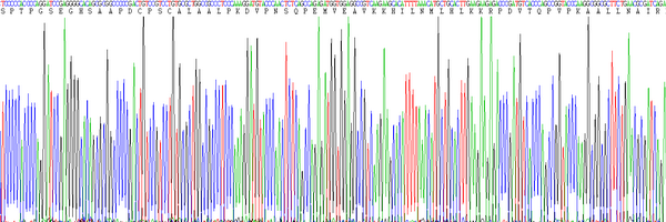 Eukaryotic Inhibin Beta A (INHbA), RPU54836