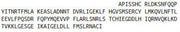 Eukaryotic Interleukin 22 (IL22), RPU54837