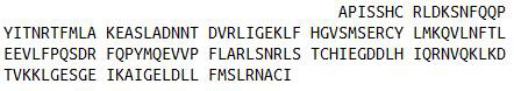 Eukaryotic Interleukin 22 (IL22), RPU54837