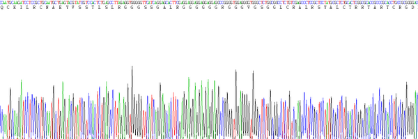 Eukaryotic Hemojuvelin (HJV), RPU54843