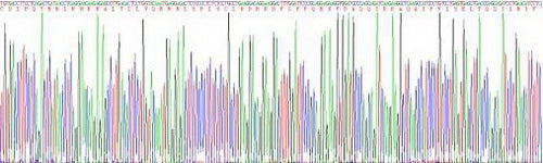 Mouse Interferon Alpha (IFNa), Active Protein