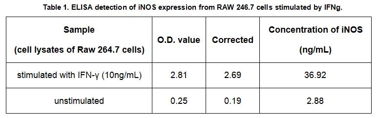 Effect of IFN-γ on the expression of iNOS was shown in Table 1.