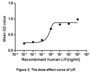 The dose-effect curve of LIF was shown in Figure 2. It was obvious that it significantly promoted cell proliferation of TF-1 cells. The ED50 for this effect is typically 0.05 to 1.67ng/mL
