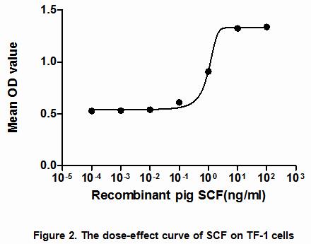 The dose-effect curve of SCF was shown in Figure 2. It was obvious that it significantly promoted cell proliferation of TF-1 cells. The ED50 for this effect is typically 6.07 to 13.69ng/mL.