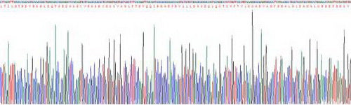Human Cluster Of Differentiation 73 (CD73), Active Protein