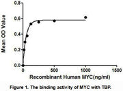 Active V-Myc Myelocytomatosis Viral Oncogene Homolog (MYC), RPU54923