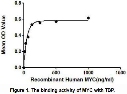 Active V-Myc Myelocytomatosis Viral Oncogene Homolog (MYC), RPU54923