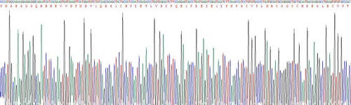 Human Vascular Endothelial Growth Factor 121 (VEGF121), Active Protein