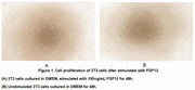 Active Fibroblast Growth Factor 13 (FGF13), RPU54958