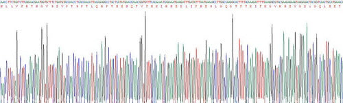 Human Janus Kinase 2 (JAK2), Active Protein