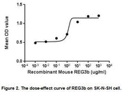 The dose-effect curve of REG3b was shown in Figure 2. It was obvious that REG3b significantly promoted cell proliferation of SK-N-SH cells. The ED50 for this effect is typically3.685-84.37ng/mL.
