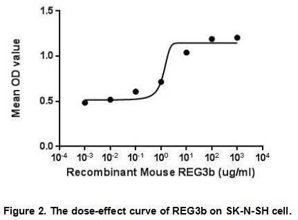 The dose-effect curve of REG3b was shown in Figure 2. It was obvious that REG3b significantly promoted cell proliferation of SK-N-SH cells. The ED50 for this effect is typically3.685-84.37ng/mL.