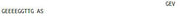 OVA Conjugated Cholecystokinin A Receptor (CCKAR), RPU54997
