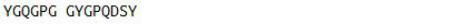 OVA Conjugated Synaptophysin (SYP), RPU55010