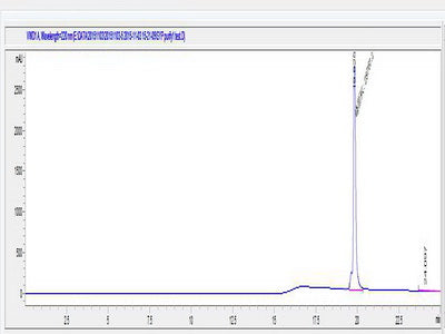 OVA Conjugated Human Synaptophysin (SYP)