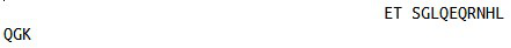 OVA Conjugated N-Terminal Pro-Brain Natriuretic Peptide (NT-ProBNP), RPU55021