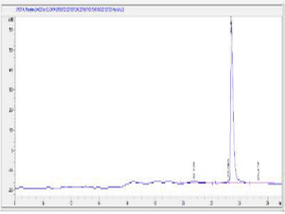 OVA Conjugated Human N-Terminal Pro-Brain Natriuretic Peptide (NT-ProBNP)