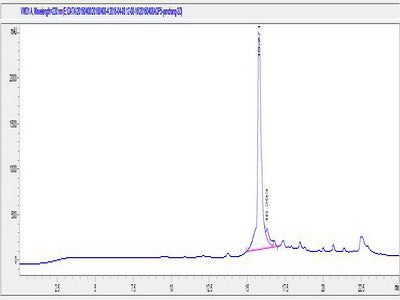 OVA Conjugated Human Aquaporin 5 (AQP5)