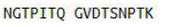 OVA Conjugated Immunoglobulin Lambda 2 (Igl2), RPU55035