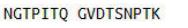 OVA Conjugated Immunoglobulin Lambda 2 (Igl2), RPU55035