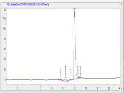 OVA Conjugated Human Osteonectin (ON)