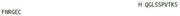 OVA Conjugated Immunoglobulin Kappa (Igk), RPU55072